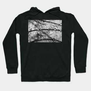 Crazy Smoke Drops Hoodie